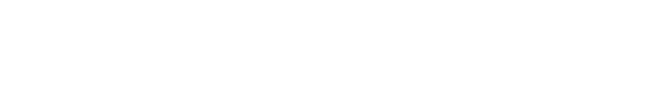 Villacoin Logo